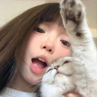 鹰之影